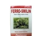 Produse naturiste SANPRODMED - FERRO-SMILIN 30cps PENTAVOX SANPRODMED