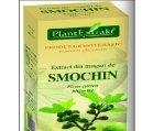 FICUS CARICA (SMOCHIN) 50ml PLANTMED