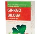 GINKGO BILOBA SI MAGNEZIU 60cpr BIOFARM - Produse naturiste