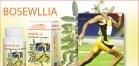 BOSWELLIA 60cpr DACIA PLANT - Produse naturiste