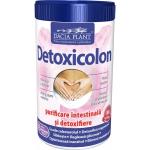 DETOXICOLON 240g DACIA PLANT - Produse naturiste